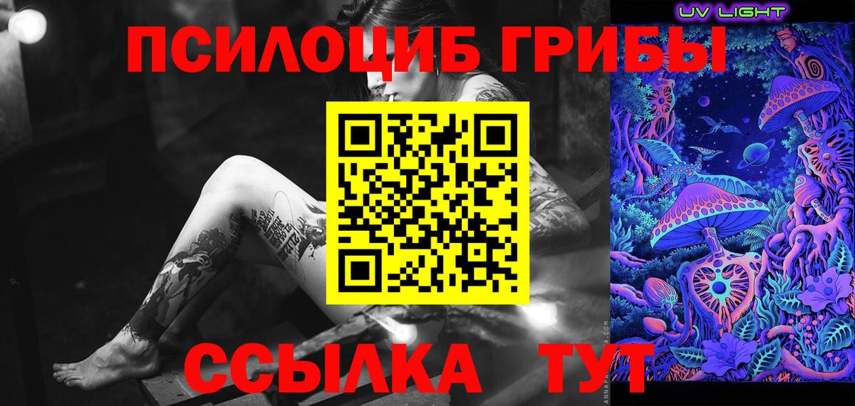 Псилоцибиновые грибы Psilocybe  Вход с VPN  Спасск-Дальний 